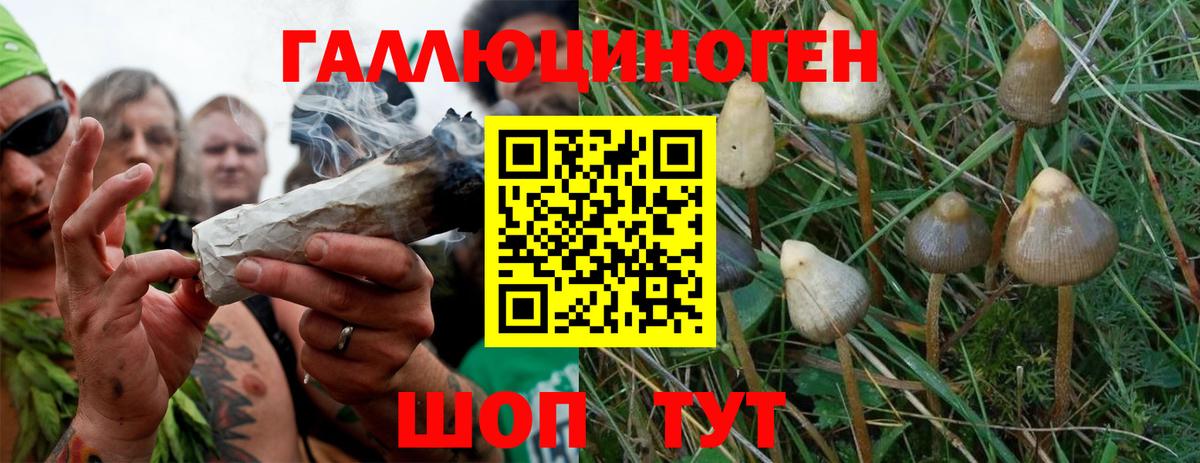 Псилоцибиновые грибы ЛСД Воронеж