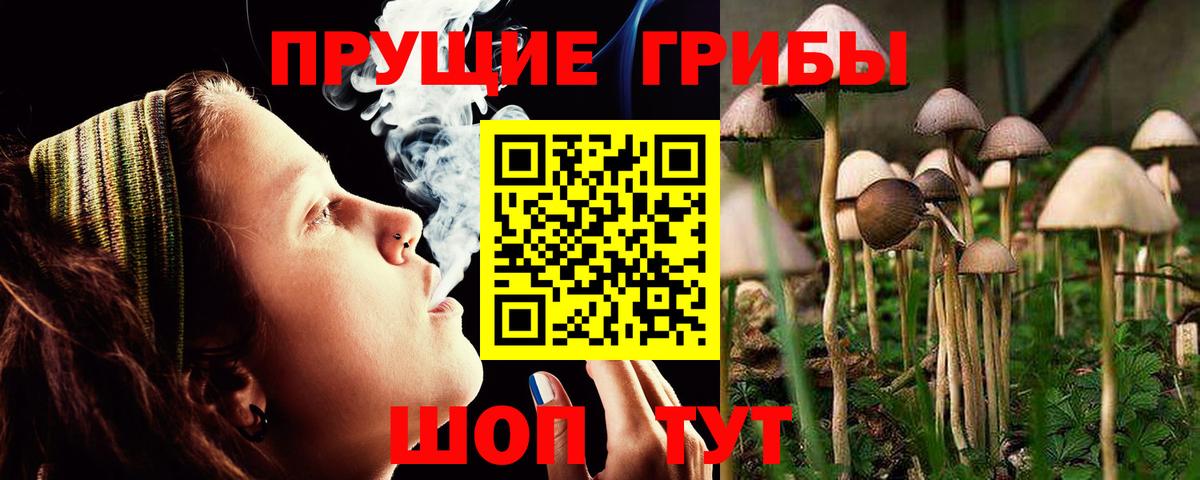 Галлюциногенные грибы MAGIC MUSHROOMS  Вход с VPN  где купить   Воронеж 